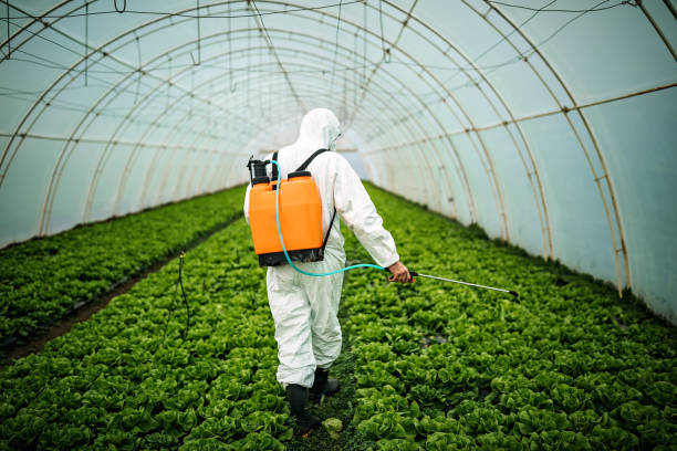 Best Affordable Pest Control Services  in North Shore, VA