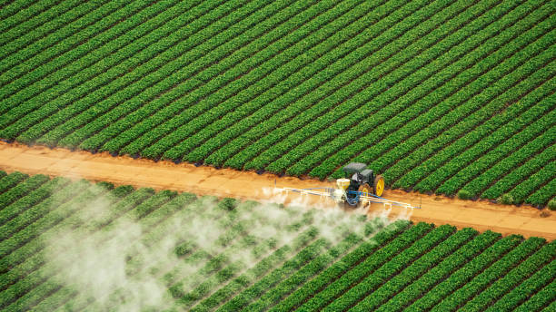 Best Mosquito Control Services  in North Shore, VA